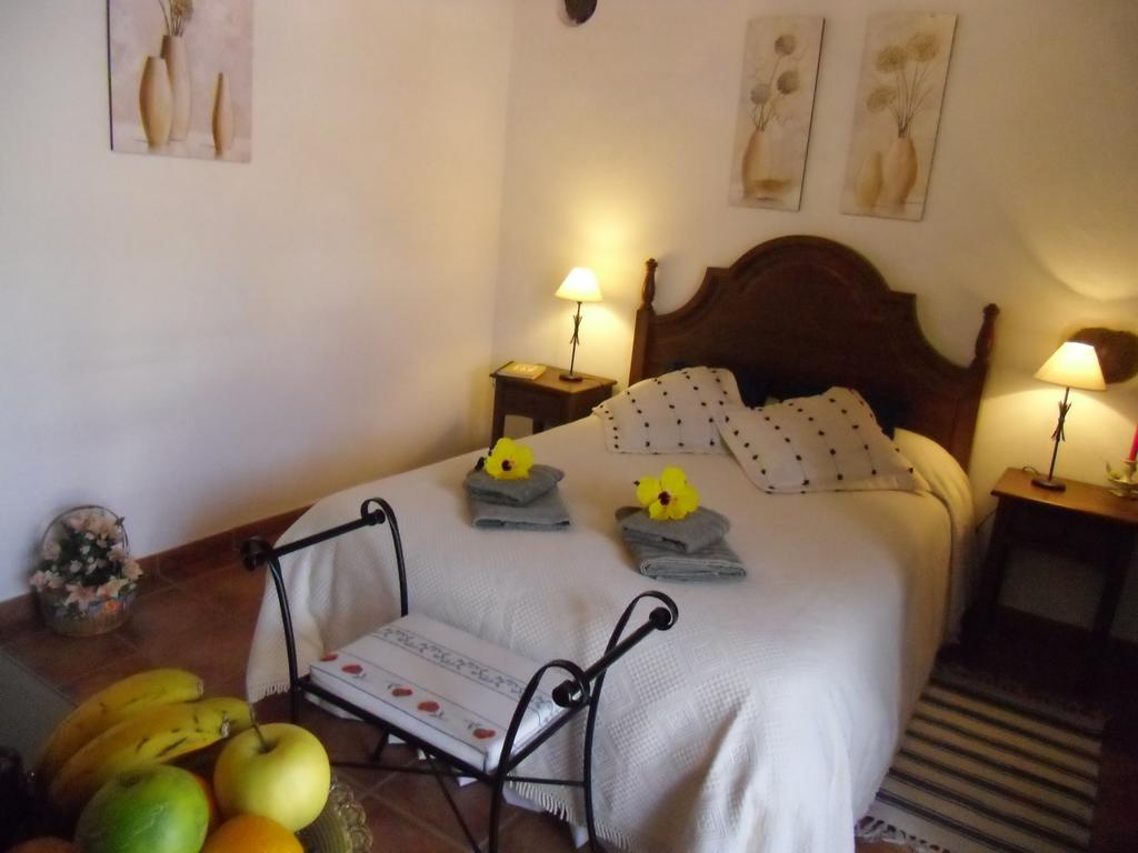 Finca El Picacho Apartments In The Countryside 2 Km From The Beach テヒーナ 部屋 写真