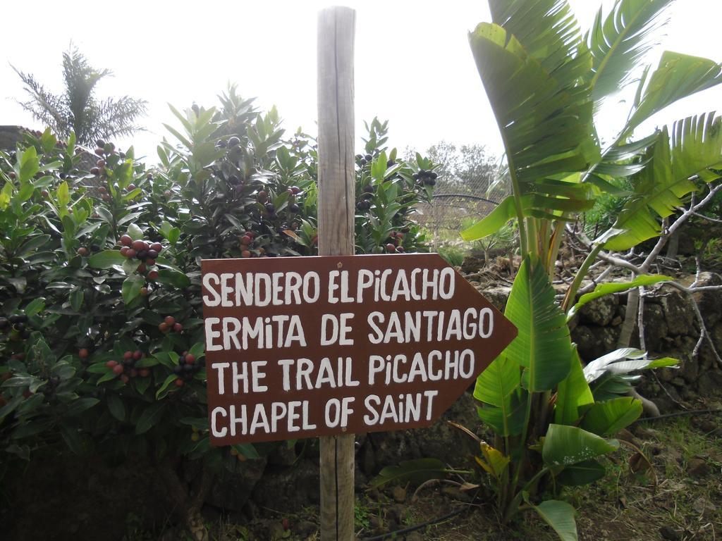 Finca El Picacho Apartments In The Countryside 2 Km From The Beach テヒーナ 部屋 写真