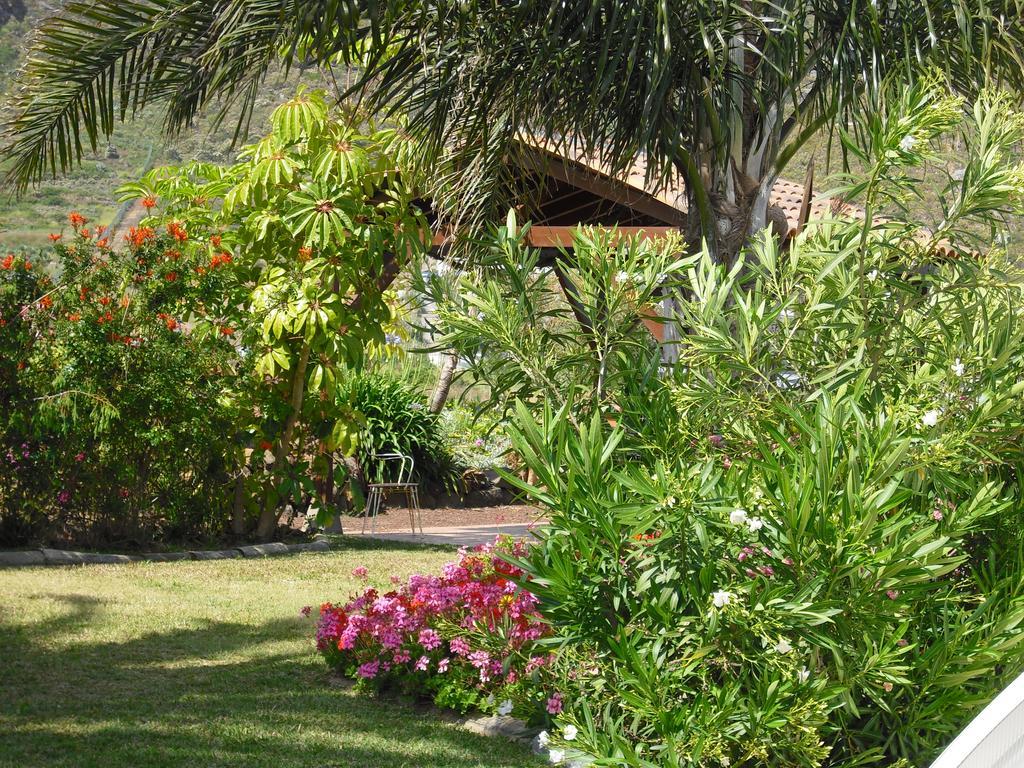 Finca El Picacho Apartments In The Countryside 2 Km From The Beach テヒーナ エクステリア 写真