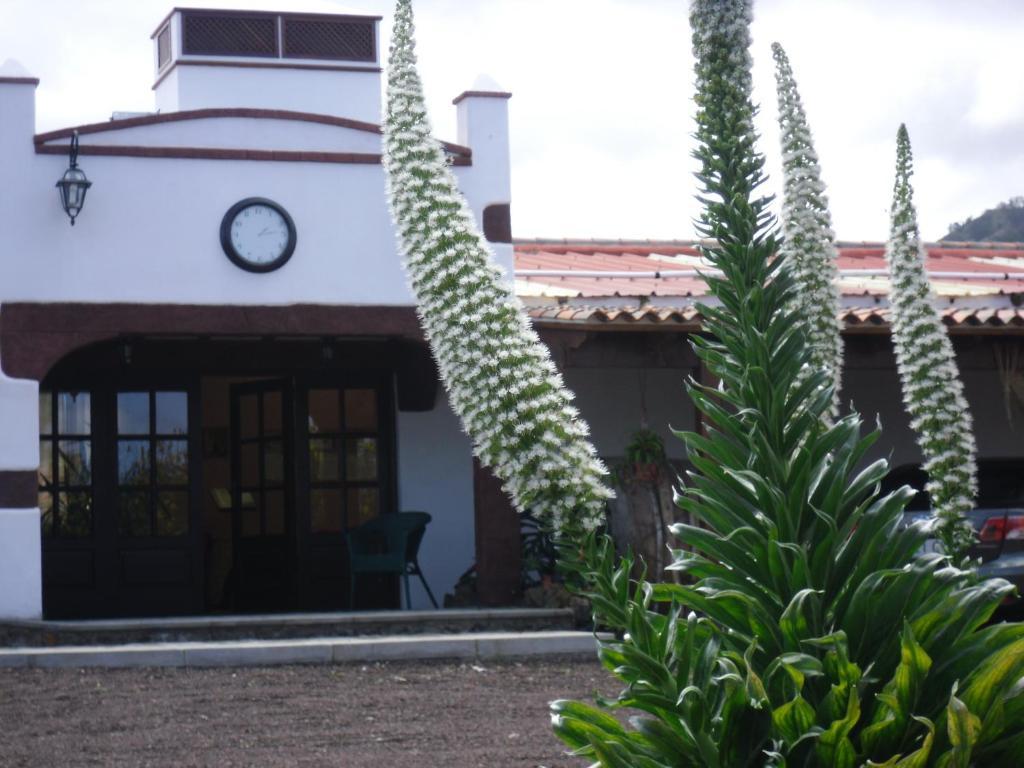 Finca El Picacho Apartments In The Countryside 2 Km From The Beach テヒーナ エクステリア 写真