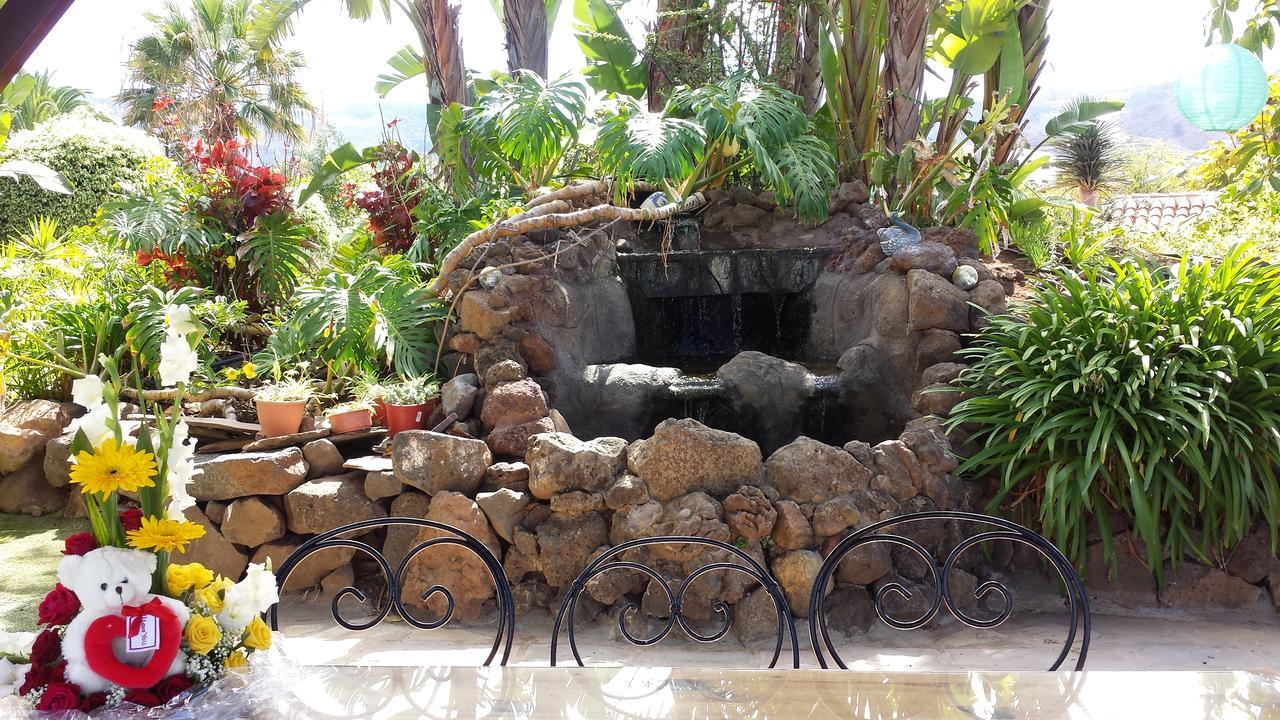 Finca El Picacho Apartments In The Countryside 2 Km From The Beach テヒーナ エクステリア 写真
